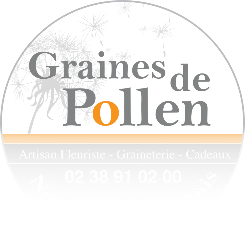 LOGO Graines de Pollen-presentation