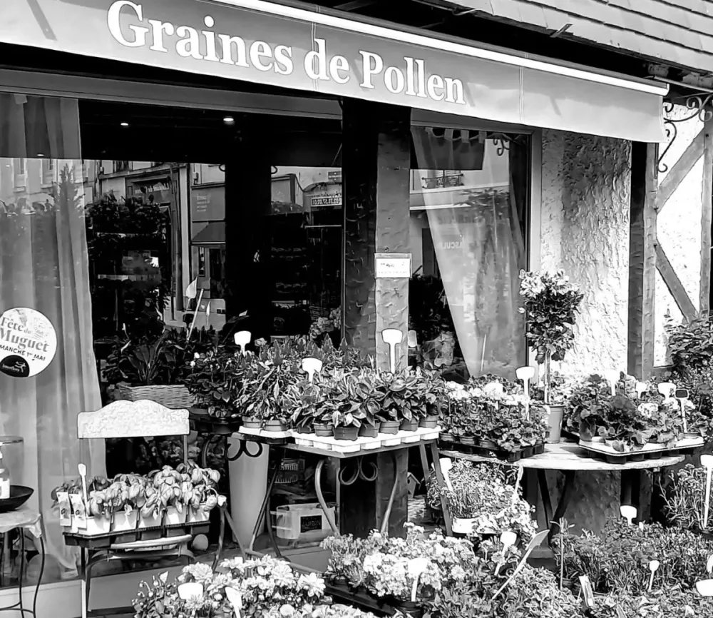 boutique